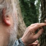 Making clay faces in tress in the Dawlish Dawdle